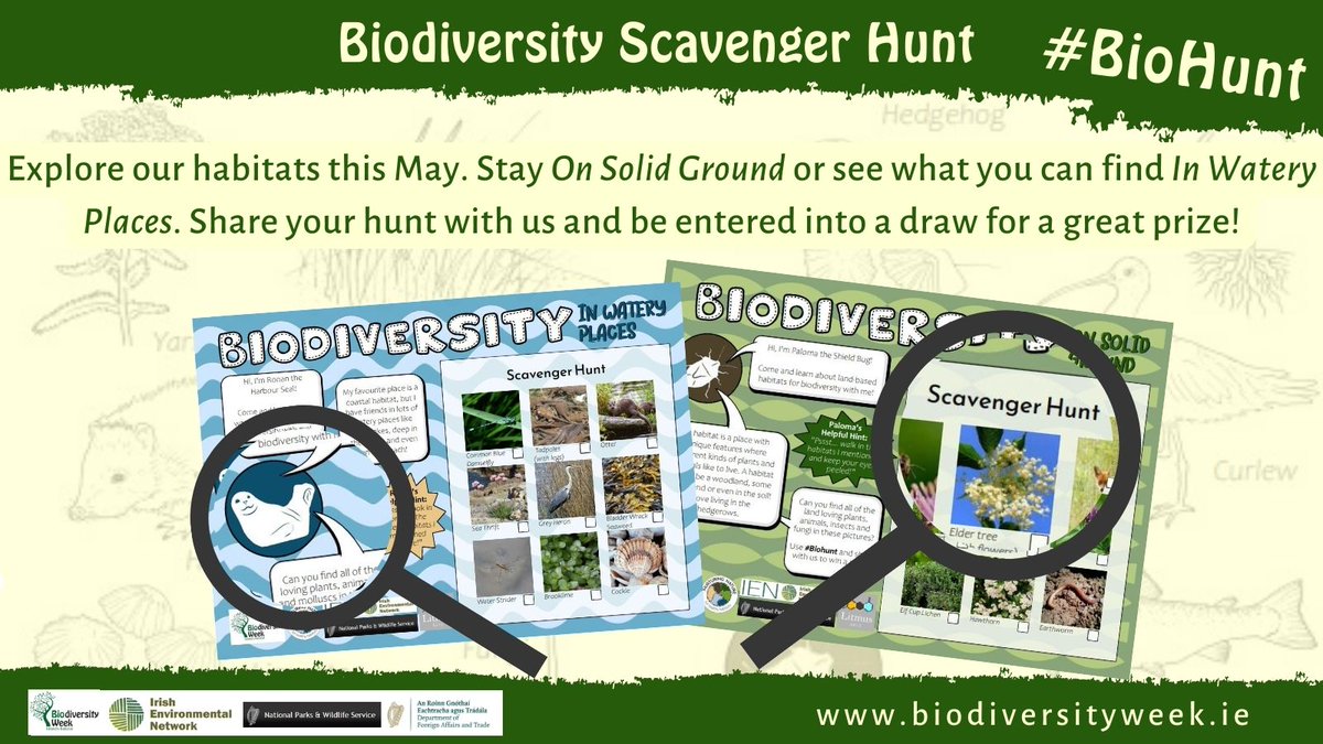 IrishEnvNet's tweet photo. Try your luck in the #BiodiversityWeek2023 Scavenger Hunt! Learn about habitats in Ireland while exploring On Solid  Ground or In Watery Places. See what you can find &amp; try solving the puzzles! Free postage available for households! #Biohunt 🔎https://t.co/RaEY83utGP https://t.co/zYlinpTM8S