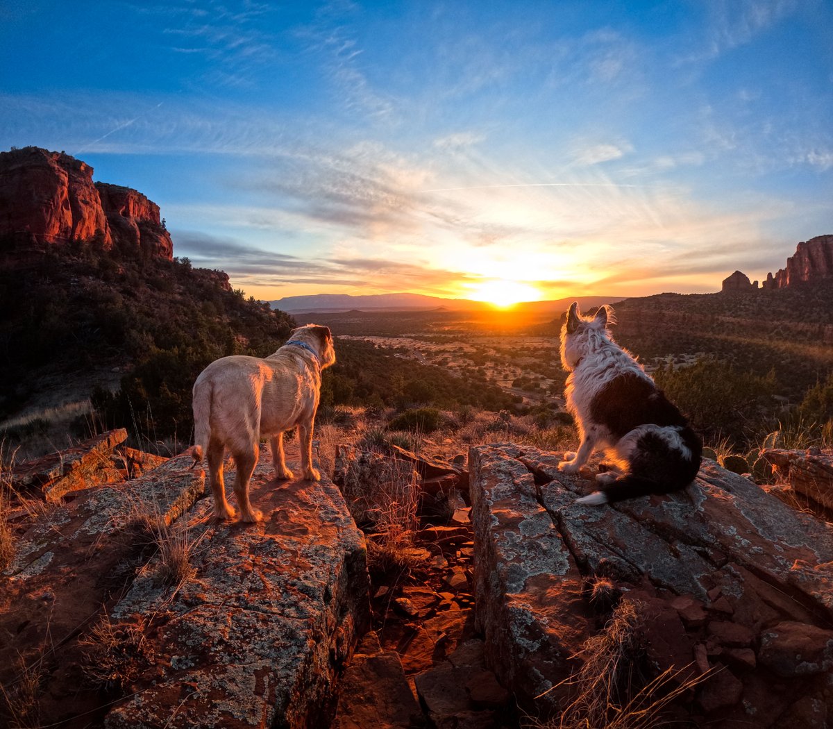 ProductGrams's tweet image. GoPro: Photo of the Day: Sunsets are best shared 🤝 Kevin Lobene is never alone with these two + #GoProHERO11 Black.

#GoPro #GoProPets #GoProTravel #Sedona #Arizona #Travel #DogsOfInstagram #Dogs