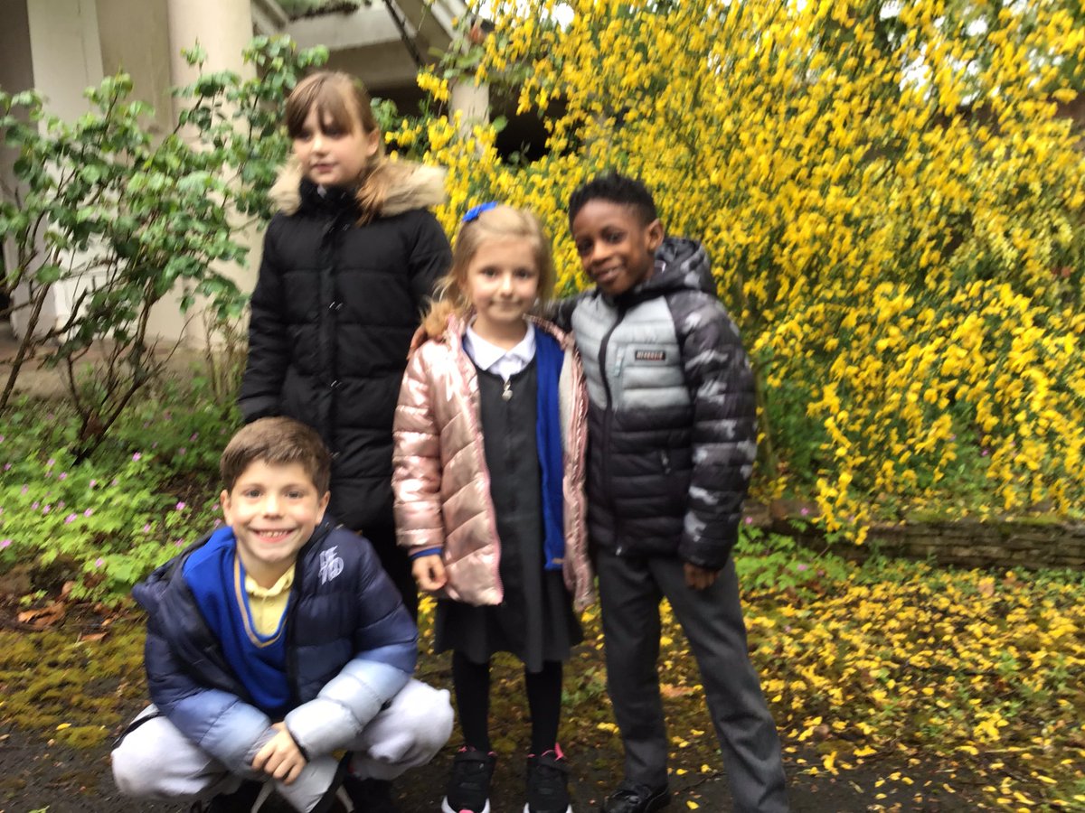 MaryvaleBham2's tweet photo. Year 2 have combined their photography and biology skills to discover a variety of plants around our school. Each photo was taken by a pupil using an iPad to first take the photo and then use AI technology to identify the plant. #WhatWeDoIn2 #MaryvaleFamily  #ScienceInAction https://t.co/ncHGGgDsOq