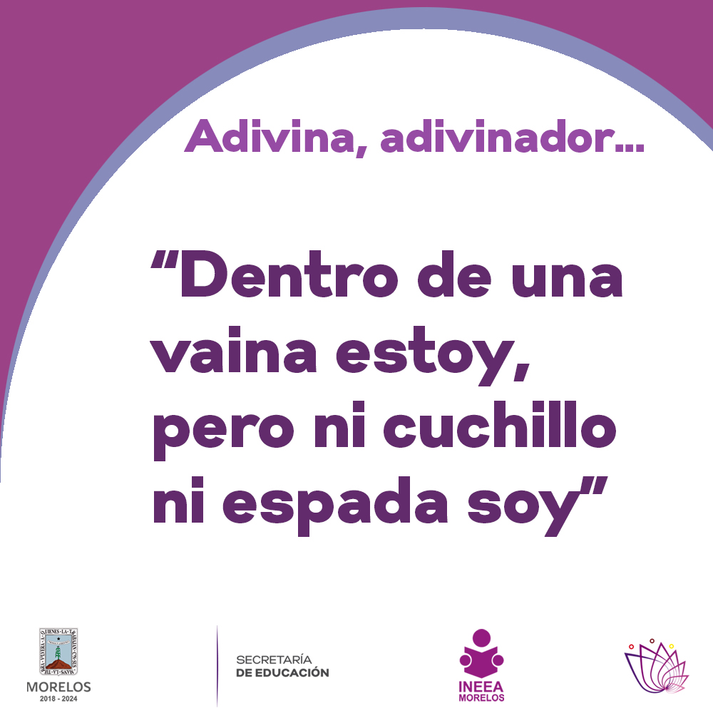 Diviértete y ejercita tu mente descifrando la siguiente adivinanza:

“Dentro de una vaina estoy, pero ni cuchillo ni espada soy”

¿Conoces la respuesta?