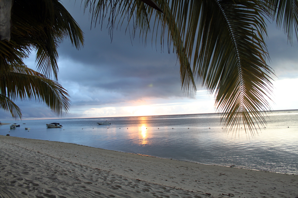 Mauritius plans 100 MW solar+storage project: The African Development Bank (AfDB) is seeking consultants to conduct technical due diligence for four storage-connected solar projects in Mauritius. #renewableenergy #solarenergy #sustainability dlvr.it/SnmdJy
