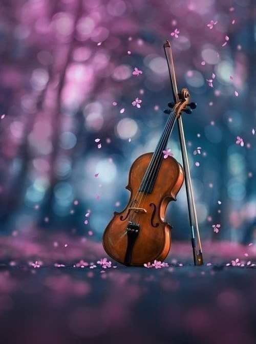 بعض القلوب شواطئ .
تجد فيها الراحه من هموم الحياة ..
وقد ينعم عليك باحباب لايعرفون 
 عنك سوى كلماتك فتفيض قلوبهم 
 احتراماً  وتقديراً .💛