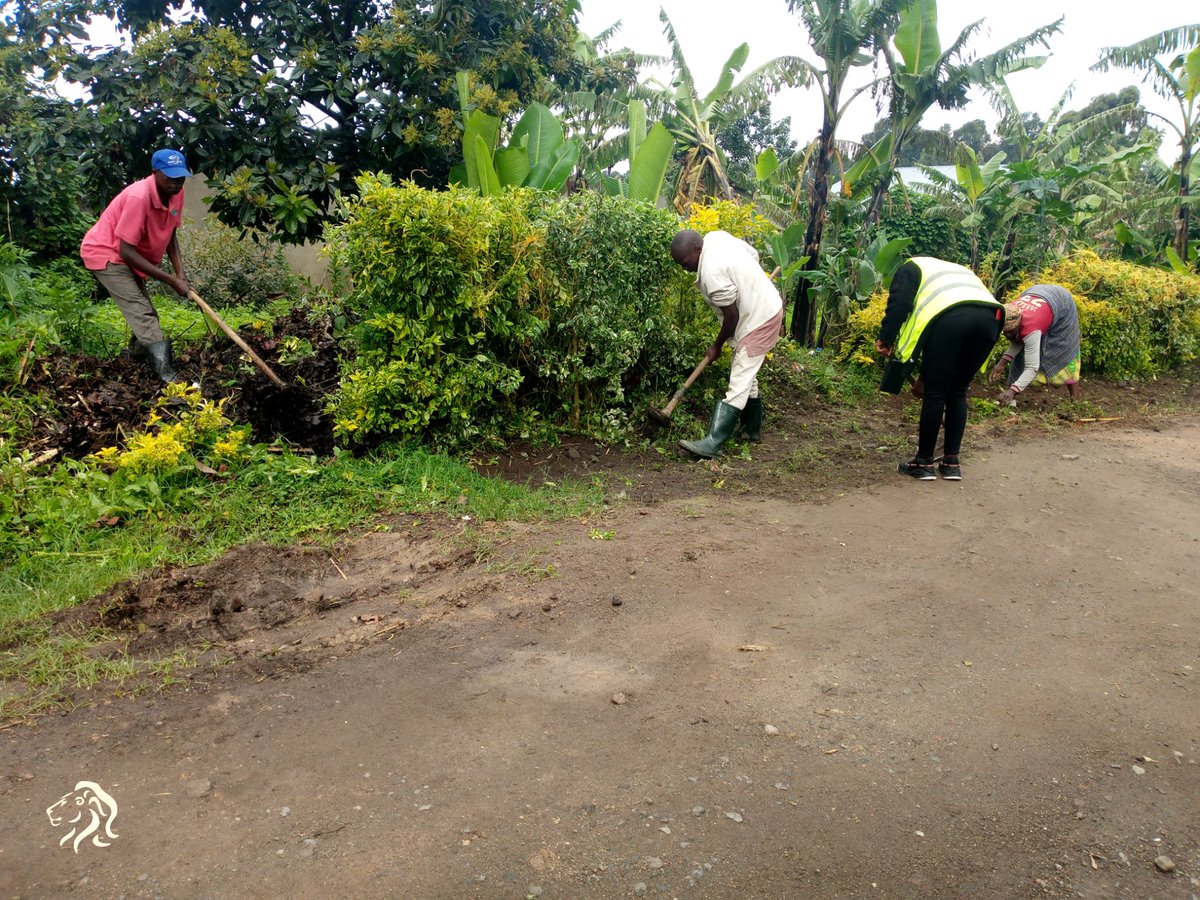 nyange_sector's tweet photo. 09/05/2023
Nyange Sector
Igitondo cy'isuku kivuguruye: "Umusanzu w'isaha imwe, Nsukure Musanze yanjye"

Uyu munsi twazindukiye mu gitondo cy'isuku guhera saa 7h30 kugeza saa 9h00. https://t.co/NLoijDmQek