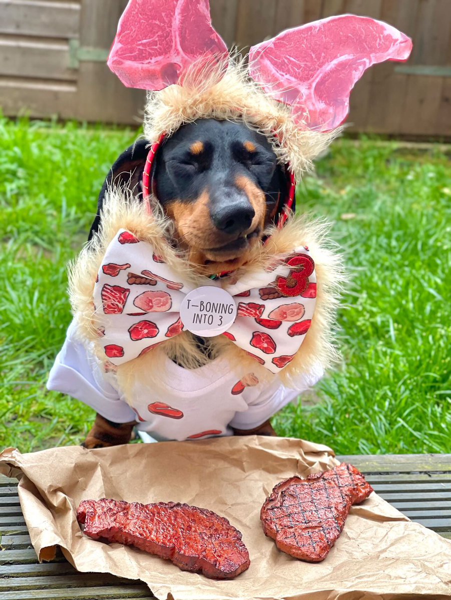 frankysbowtique's tweet photo. One of my customers, asked me for a steak themed outfit, for her Dachshunds 3rd birthday. She asked. We delivered. 🥩💁🏻‍♀️😄 #Dachshunds #smallbiz #handmadegifts #extraaf https://t.co/vninNzYeQQ