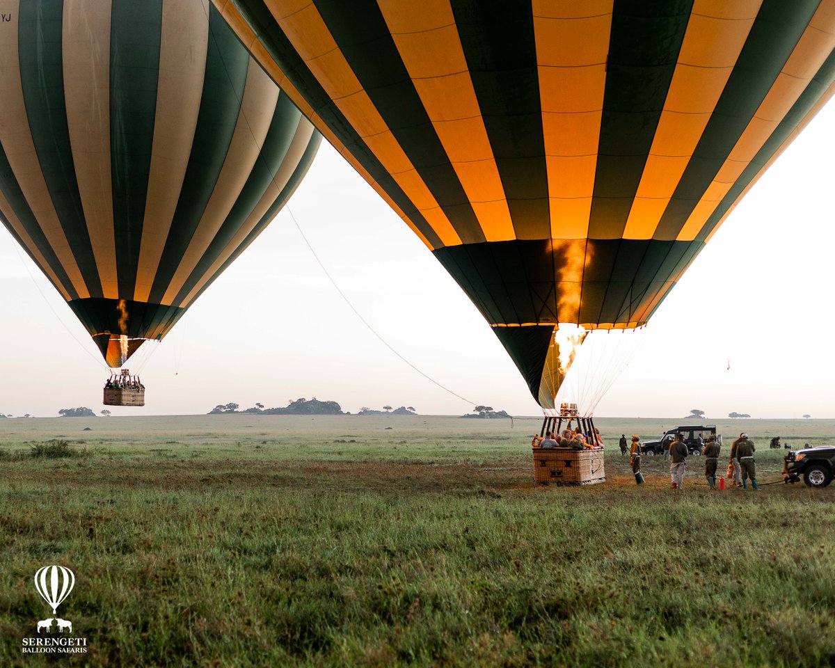 Serengeti Balloon Safaris tweet media
