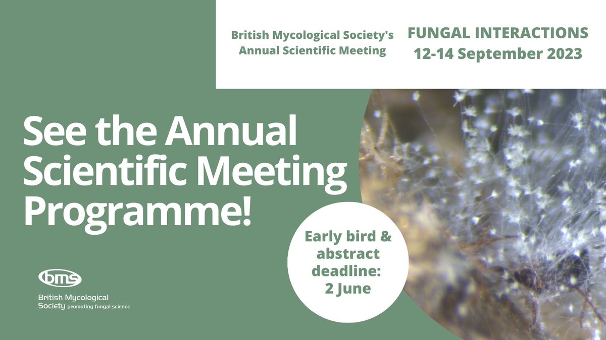 🔎Have a look at the Annual Scientific Meeting programme - exciting talks on a range of #fungal interactions from speakers including @EsterGaya @m_csu @DJSoilEcol @alesdantas @DrJohannaRhodes @Jacobsen_MI @TheKellerLab @TajKeshavarz @QIPlab @chitinette britmycolsoc.org.uk/resources/even…
