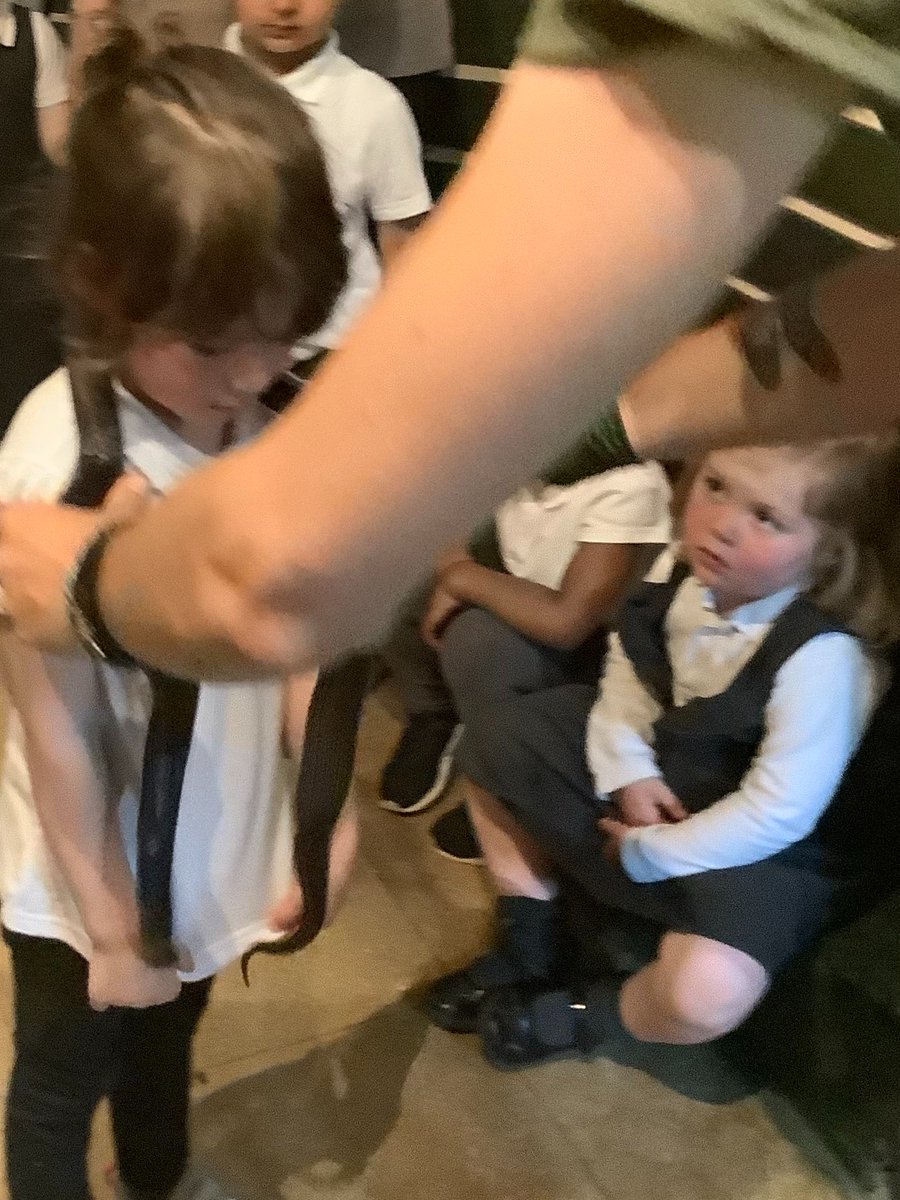 WilliamMorrisB's tweet photo. Our Nursery class had a fantastic time at Stratford Butterfly Farm today! The trip was linked to learning they have been doing in class, around the book 'The Hungry Caterpillar'. https://t.co/4MIaS44Q6l