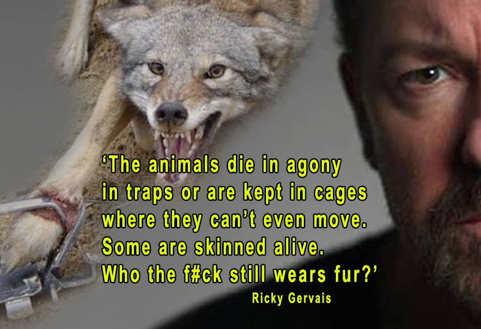 .@RickyGervais asks 'Who the F🤬CK still wears fur?' Rich sociopaths👺 It's why Tories promise #ActionForAnimals but do nothing🤬 Sign for #FurFreeBritain🆘 petition.parliament.uk/petitions/6307… Demand action now⬇️@HSIUKorg action.hsi.org/page/127623/ac… Be #Vegan🌱 @ProtectWldlife @PeterEgan6