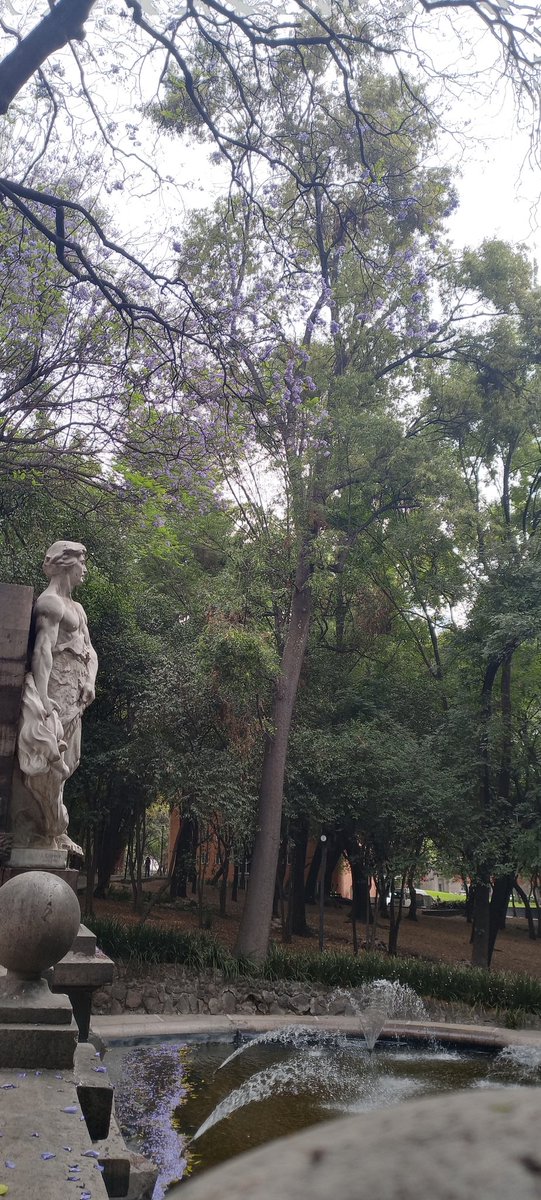 miguelchavezsup's tweet image. #poderosoArrasando reportando mi entranamiento desde las faldas del cerro de Chapultepec que no es cerro, originalmente es un volcán