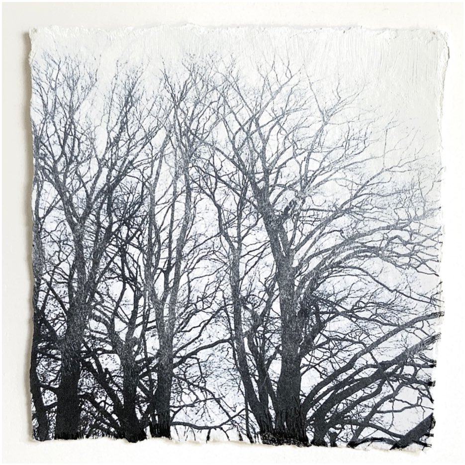 felicitykeefe's tweet photo. A couple of little winter inspired mixed media drawings… #Artist #MixMedia #Drawing #WinterInspired #ContemporaryLandscape #ContemporaryArtist, #ContemporaryArt #EnvironmentalArts #LandscapeArt #AbstractLandscapeArt #ArtistStudio https://t.co/f1VhlunhO0