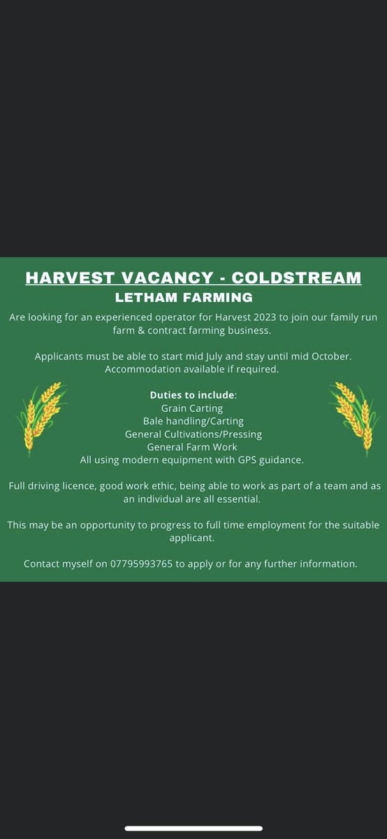 Graham Letham tweet media