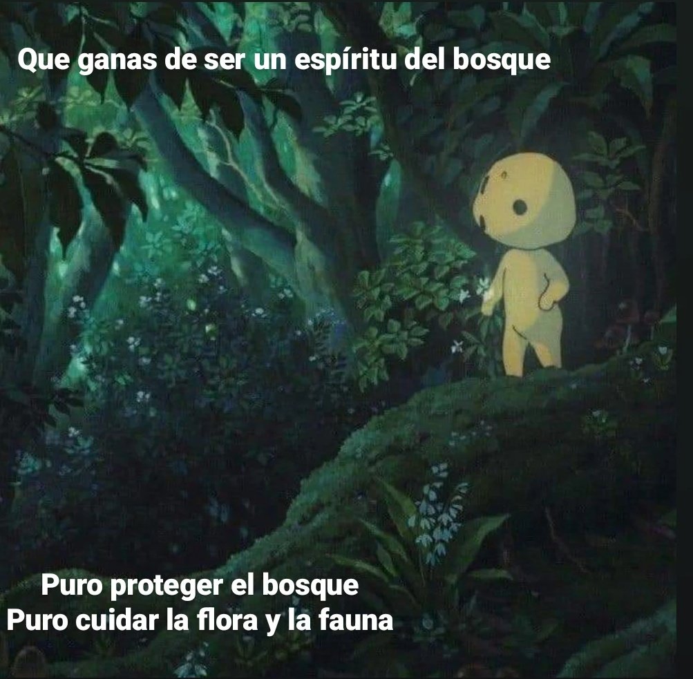 don_helecho's tweet photo. https://t.co/efD4PeRSAe