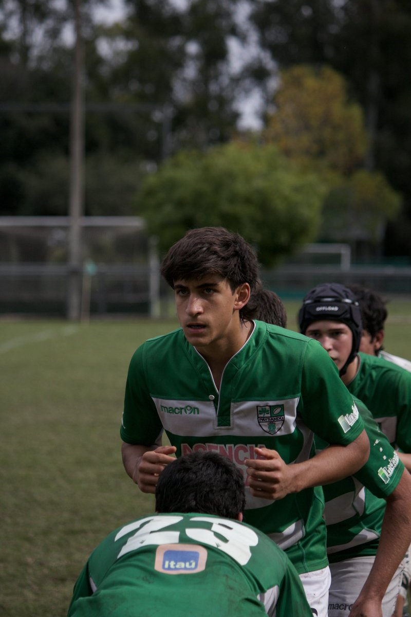 RugbyClubesURU's tweet photo. 👀 Hubo acción en M17

@pgctrebolrugby 🆚 #MonteVI 

#RugbyUruguayo🏉 https://t.co/TghMMnMIWE