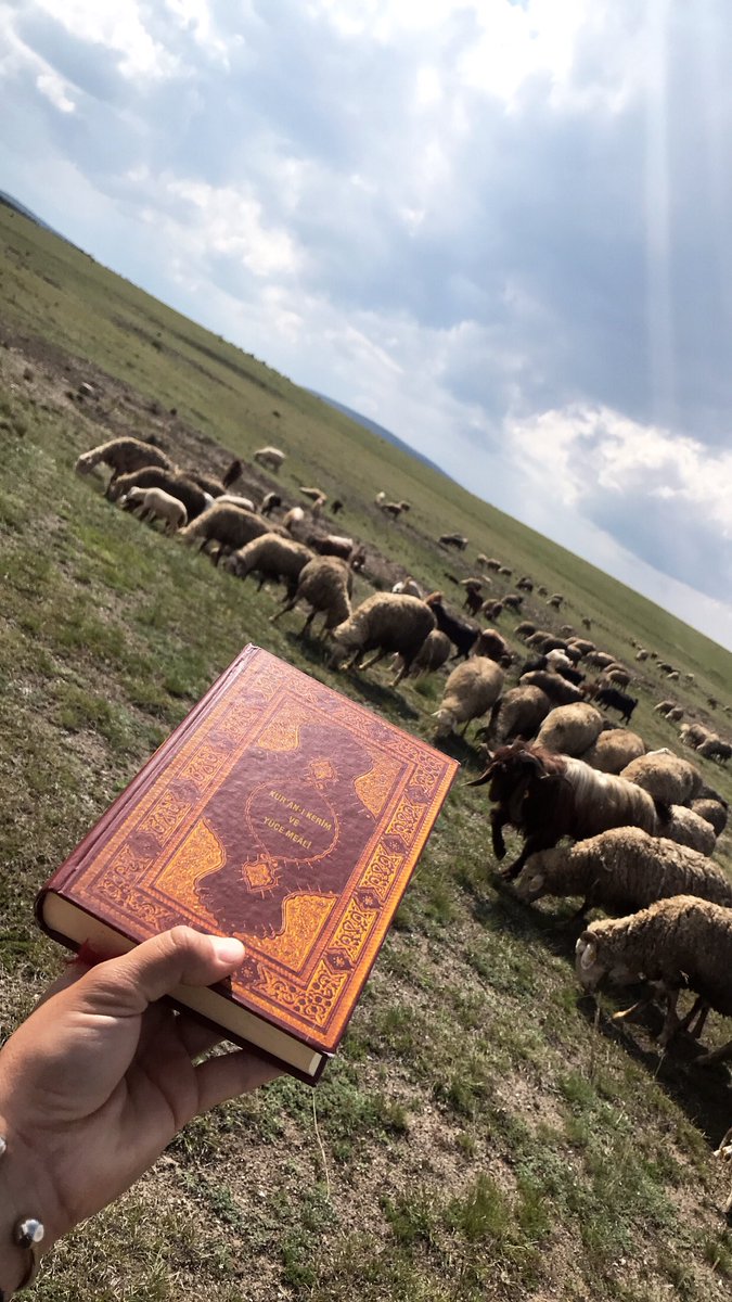 cobanavukat1's tweet photo. Bugün yanıma Kuran’ı aldım. Okuyorum öyle vakit buldukça..
Köy halkından mantar toplamaya gelenler vardı. Tanımadığım birisi cebimde Kuran’ı görünce ‘cepte taşınır mı hiç’ dedi ses tonu da yükseldi..
Doğrusu; duvarda okunmamasındansa cebimde taşımayı yeğlerim.. https://t.co/gXyWfXnPDP