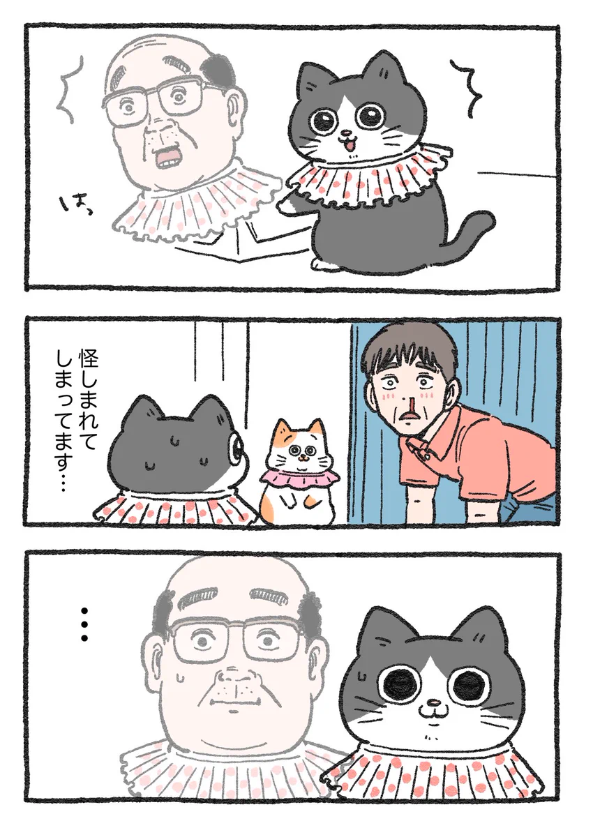「ねこ転」その94が公開！プンちゃんの”てんしゃい”な行動に社長は…！？