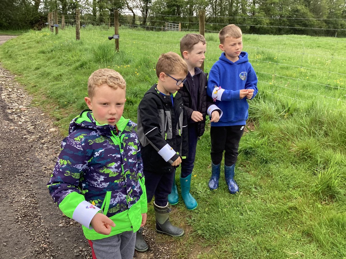 shortlanesend's tweet photo. Fal Class Nancarrow Farm visit.
The children had an amazing day exploring different plants amongst other wonderful activities. https://t.co/N0SDGmwXEr