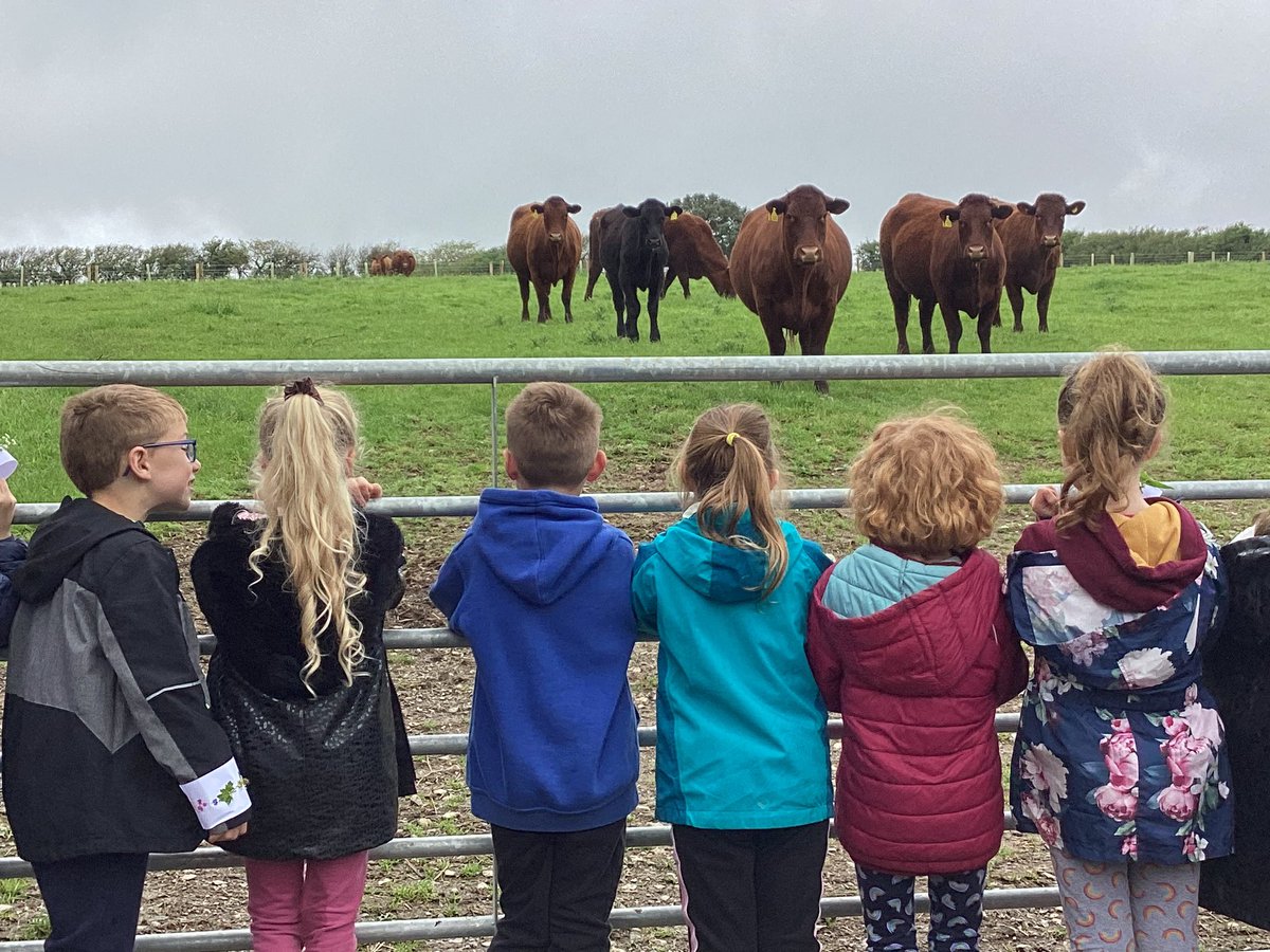 shortlanesend's tweet photo. Fal Class Nancarrow Farm visit.
The children had an amazing day exploring different plants amongst other wonderful activities. https://t.co/N0SDGmwXEr