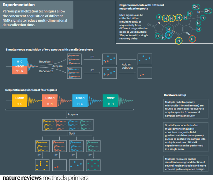Various parallelization techniques allow the concurrent acquisition of different NMR signals to reduce multi-dimensional data collection time.

Find out more here: go.nature.com/3Po5Pnw