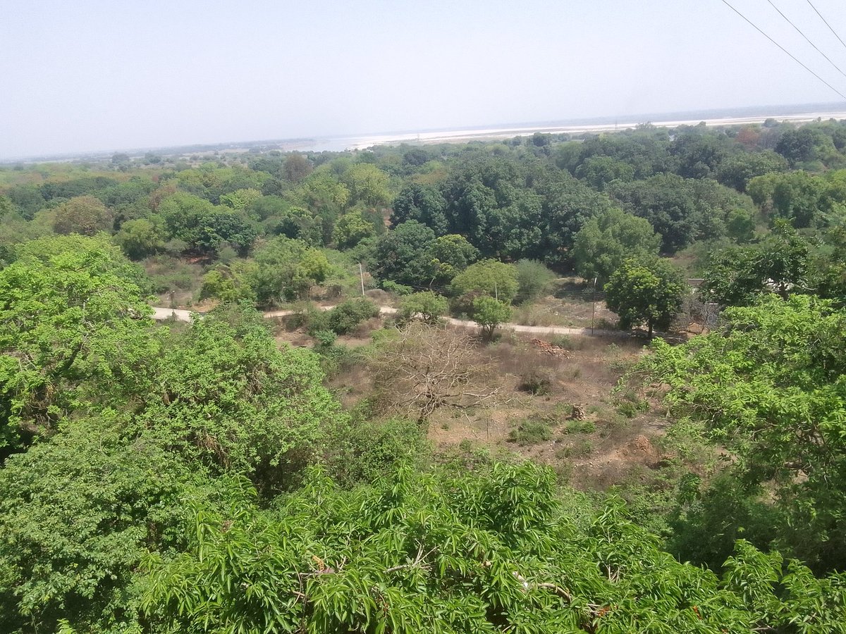 Aditya Soni (@adityas41496682) on Twitter photo 