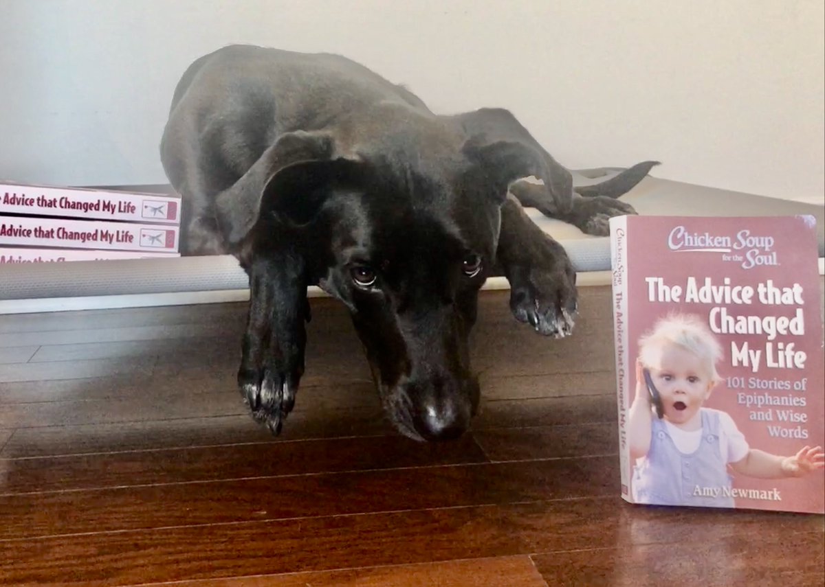 JenKennedy2's tweet photo. This @ChickenSoupSoul book is full of solid actionable advice and would make a great graduation gift. Maggie and I are honored to be part of it. ❤️ I share our dog training journey in my story "Walk This Way." On sale on amazon now https://t.co/U074b5k6AZ #gradgift #ad #amazon https://t.co/GdFkmuz2nM
