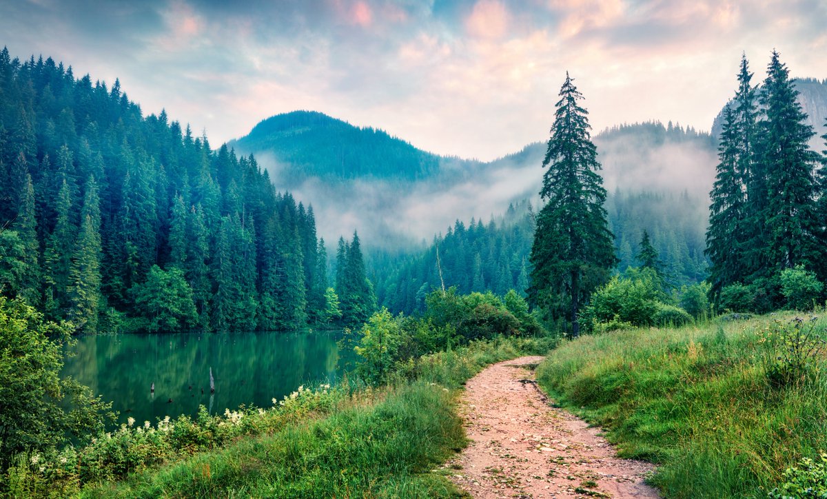 New paper alert! 📢 Learn how the #NatureFuturesFramework can create positive scenarios to change people's relationship to nature 🌳. This step-by-step guide provides transformative pathways towards desirable nature futures. Read👉bit.ly/3VLpL8K #sustainability #nature