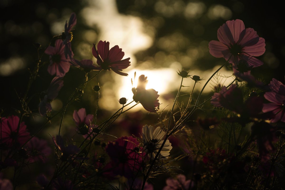 写真撮ってると時間を忘れる時がある