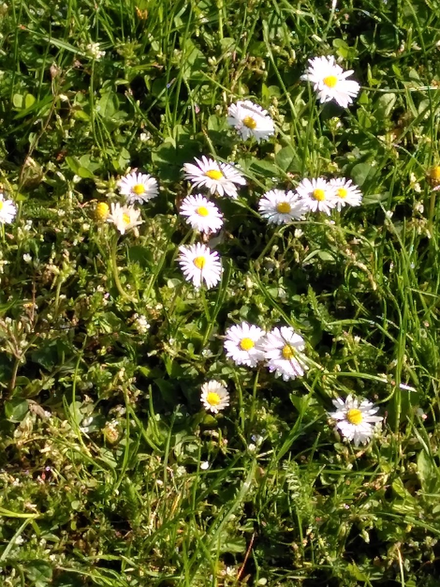 Julia Obertreis tweet media