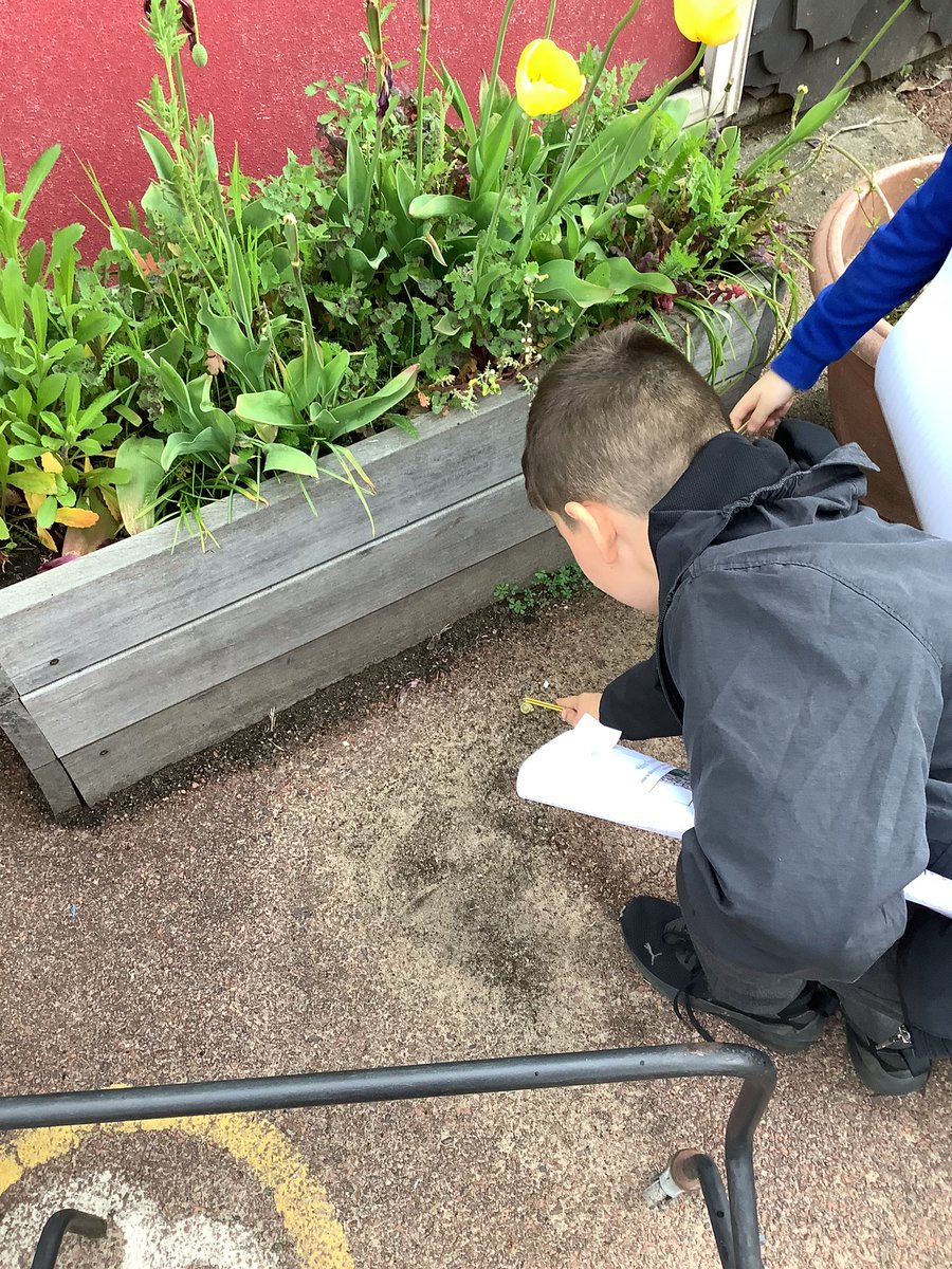 BHPSMansfield's tweet photo. Class JM/NK went hunting for mini beasts looking carefully in micro habitats What do you think they found? #minibeasthunt #Y2JM/NK https://t.co/TiY6jLsgHZ
