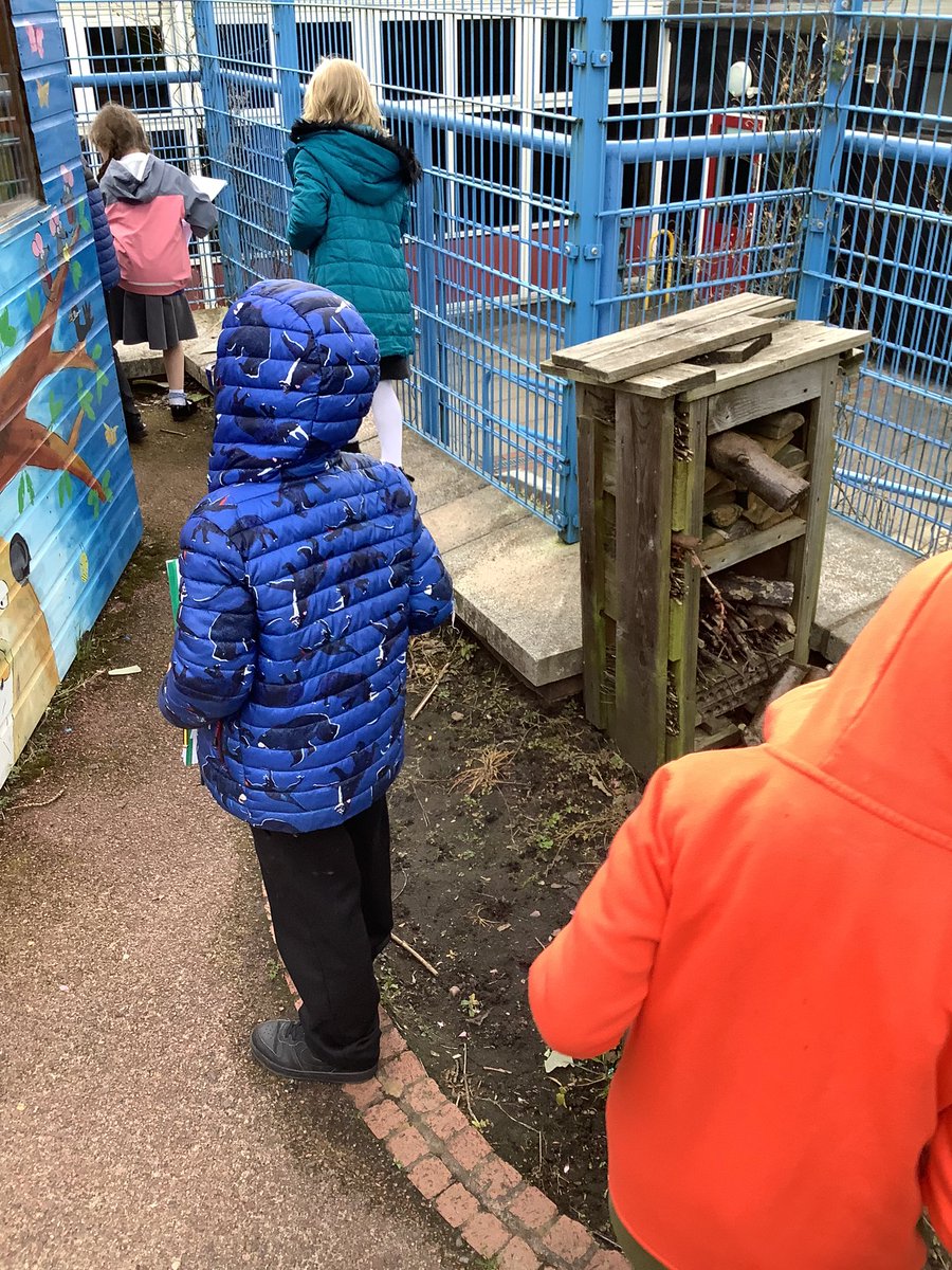 BHPSMansfield's tweet photo. Class JM/NK went hunting for mini beasts looking carefully in micro habitats What do you think they found? #minibeasthunt #Y2JM/NK https://t.co/TiY6jLsgHZ