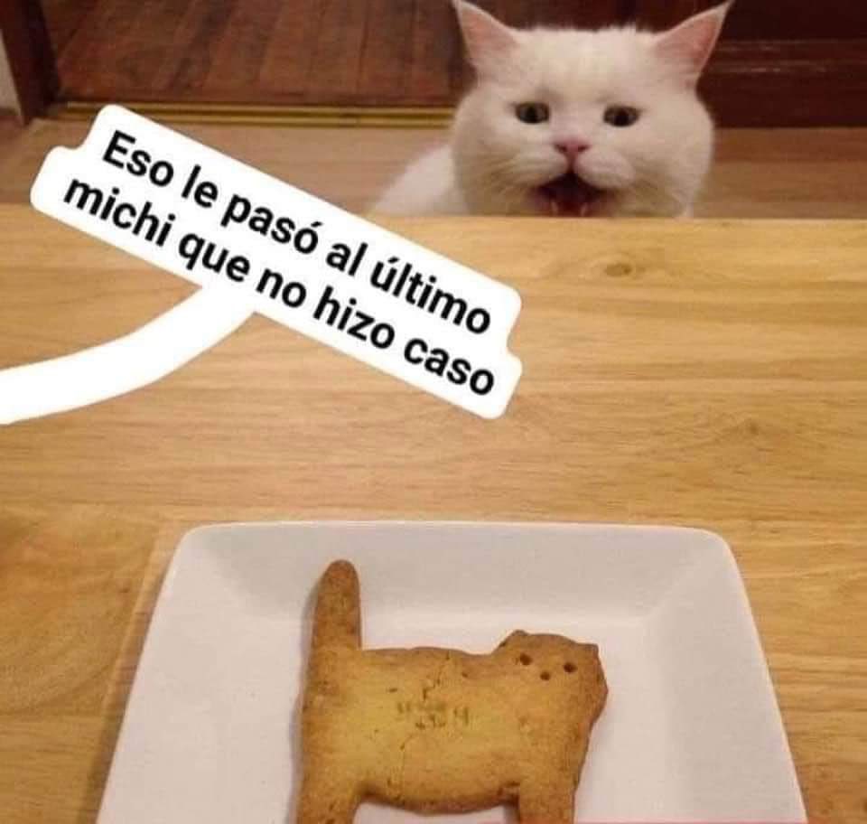 caramjose's tweet photo. Avisados están 😼😹😹 https://t.co/3NfR5hYHtx
