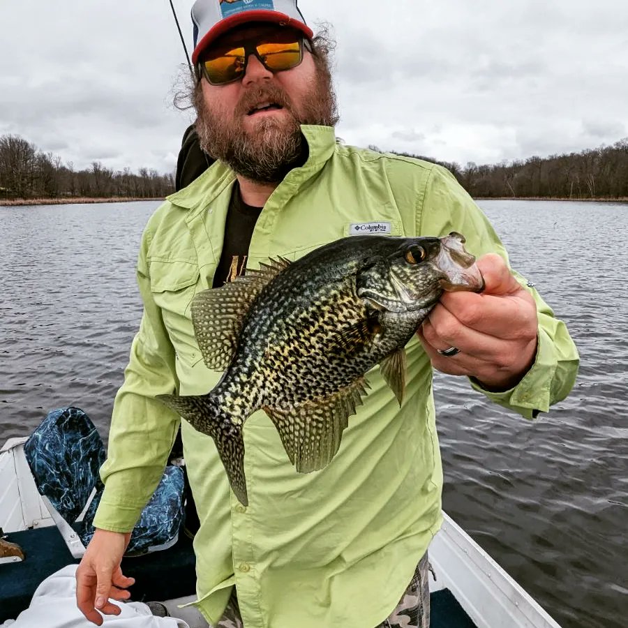 Brzrkrfishing's tweet photo. The bass kept getting in the way but we eventually found the crappies @PunkChef2 @NickEllwanger https://t.co/37aQMTfM5o