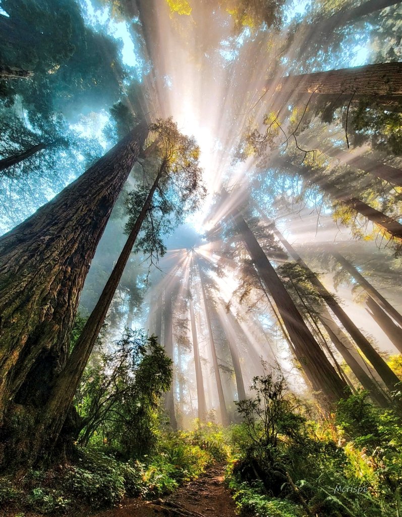 LoveU_Nature's tweet photo. Beautiful nature🌿🍃. #NatureIsAmazing #NatureBeauty #NaturePhotograhpy #landscapephotography https://t.co/iRlDGSxrP7