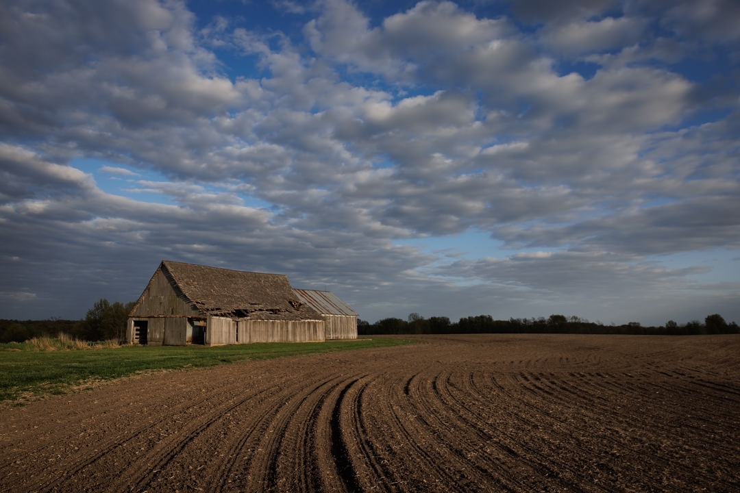 notleyhawkins's tweet photo. Furrowed field in Linn County, Missouri. Photography by Notley Hawkins. #missouri #rural #field #furrows #furrowedfield #farmfield #sky #clouds #cloudysky #midwest #bucolic #outdoors #landscape #barn #notleyhawkins https://t.co/4crKl5U58a