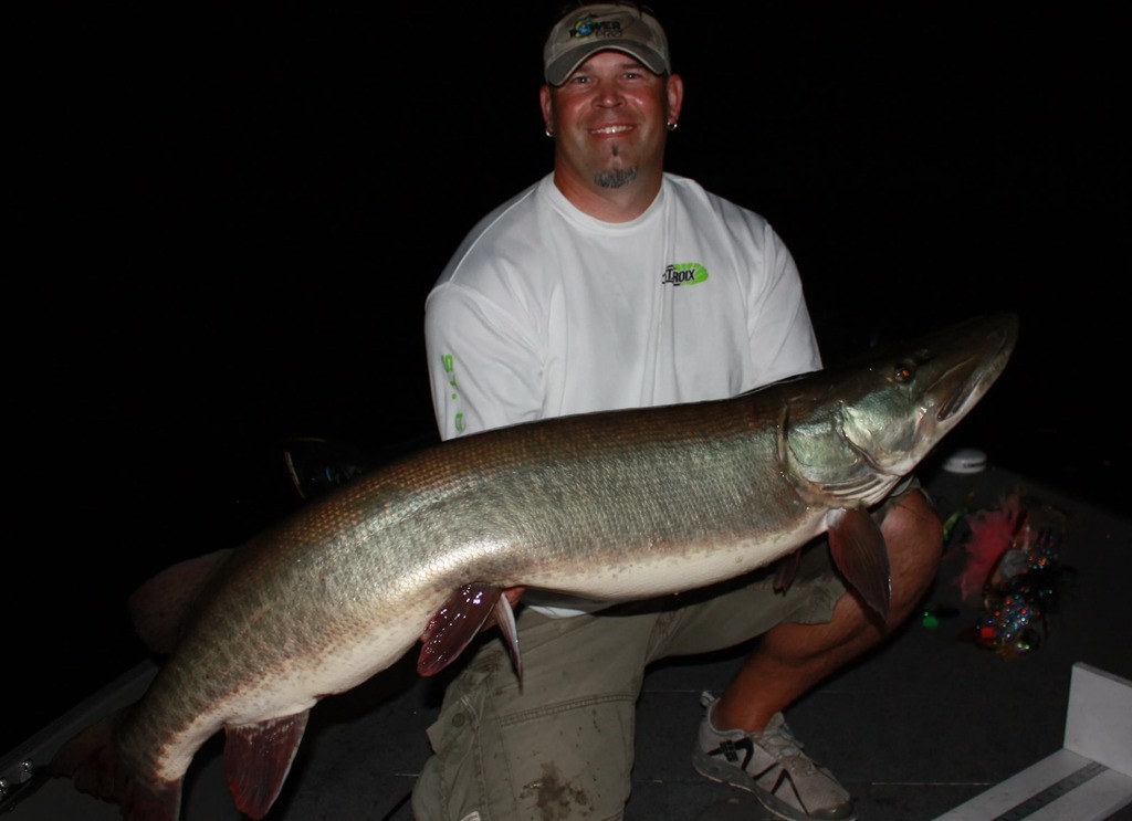 MuskyInsider's tweet photo. Not only is @j_g_weeks an impressive fisheries biologist, but he's also a diehard musky angler – the perfect combination in our opinion! No doubt, he will have some fascinating info to share with our Musky Insider PRO community.

Check the link in our bio for more info (sign… https://t.co/x88KNPGIPa