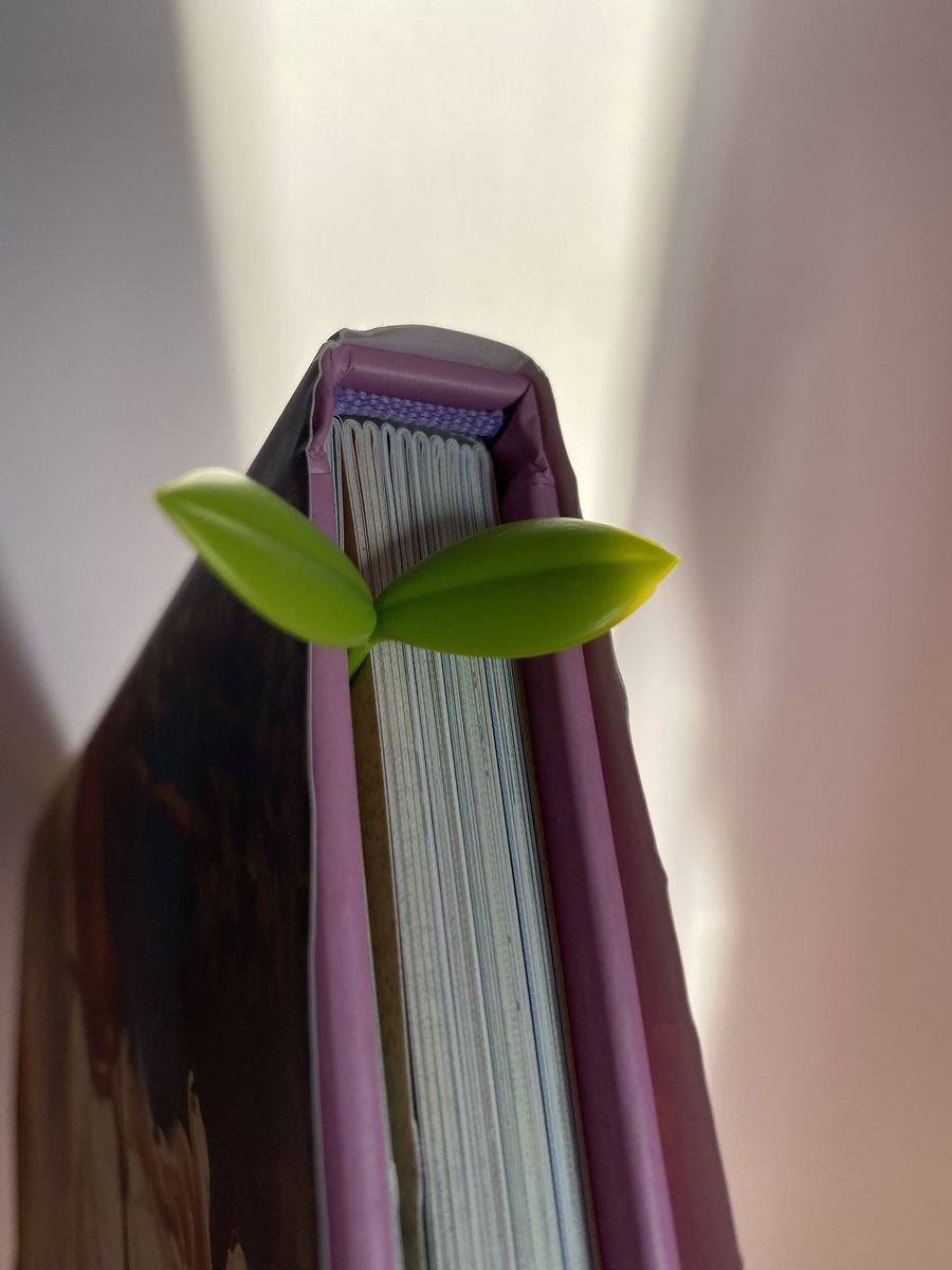 SoftnessDaily's tweet photo. sprout bookmarks 🎀 https://t.co/DHJ7Dpj5x7