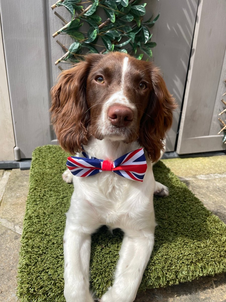 What do you get when a creative PR exec hosts a #corrienash party?

One very royal fruit platter!

(and the best dressed girl of the weekend!)

The team is back at it today after a lovely long weekend, and we're already seeing some super results of coverage for clients this week!