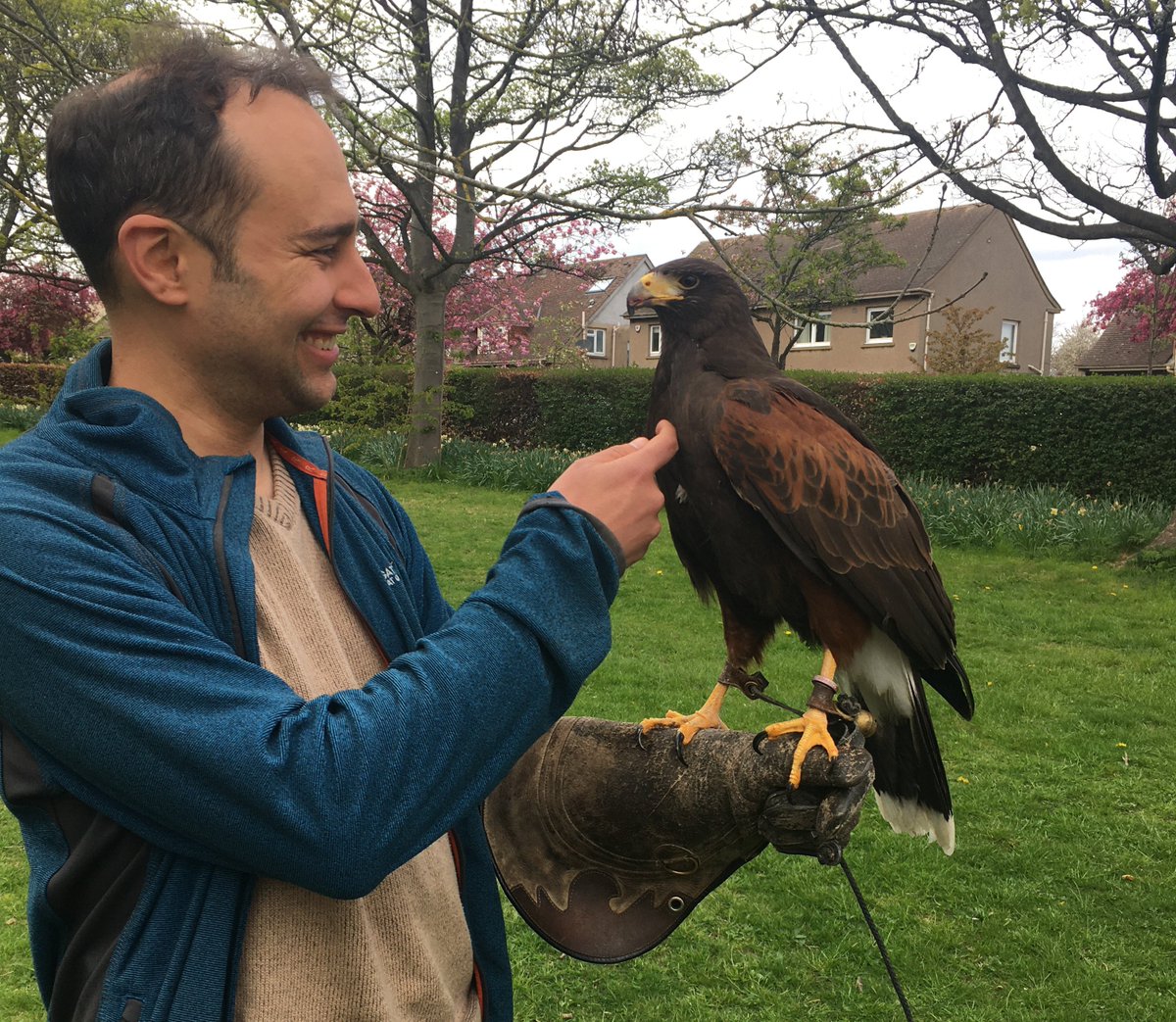 SteveBrusatte's tweet photo. 🚨🦅I need your help! My next book will be on: BIRDS! 
The 150+ million-year-story of how Birds Took Flight, from their dinosaur ancestors to the 10,000+ species today, from sparrows to this friendly hawk.
So: what stories about birds would you like to read? https://t.co/1YKo3iaJVf