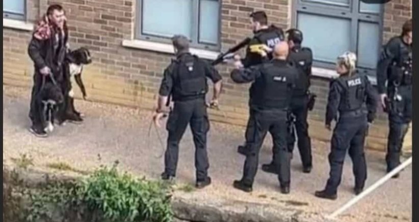 Tower Hamlets Copwatch tweet media