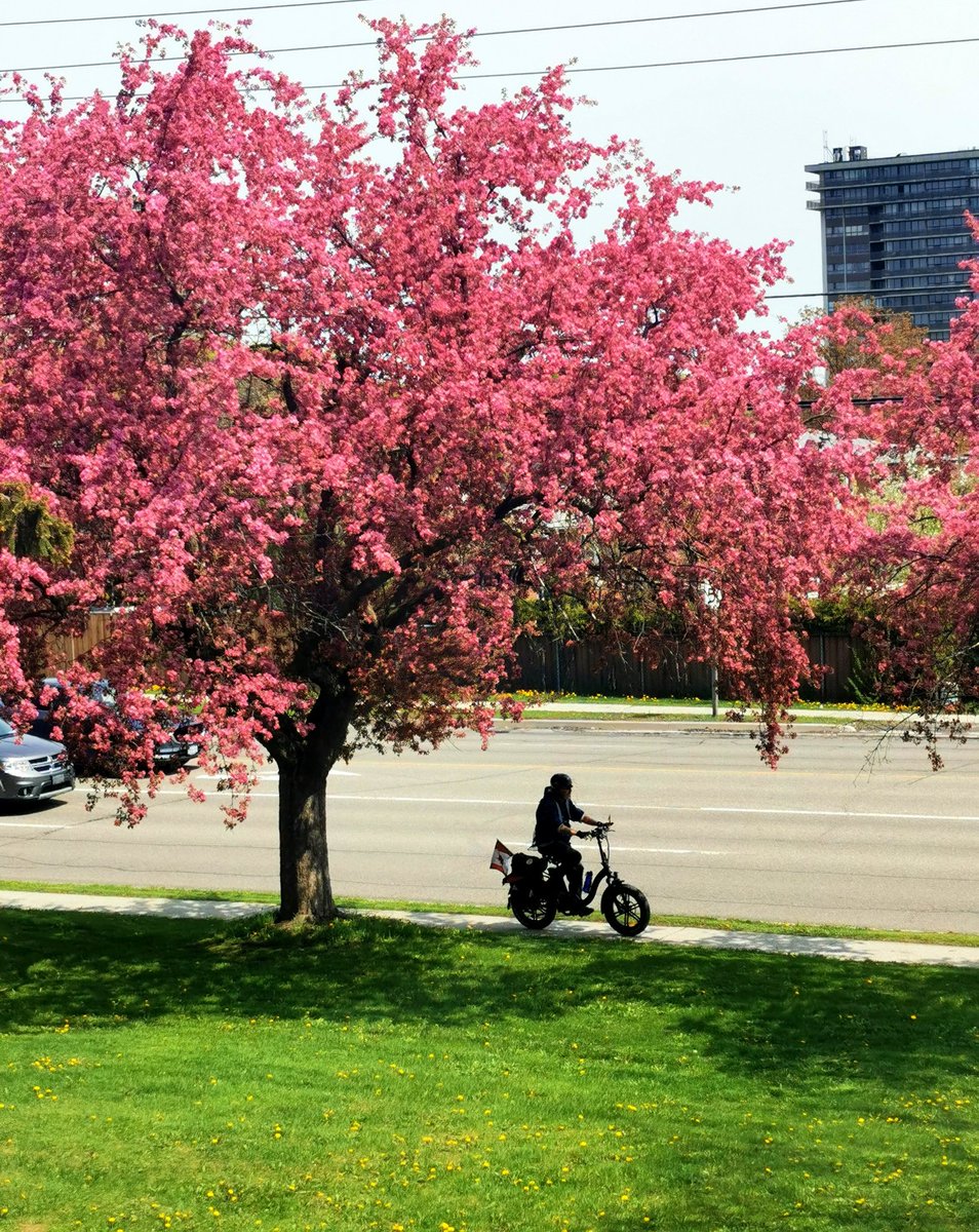 C.McConnell tweet media