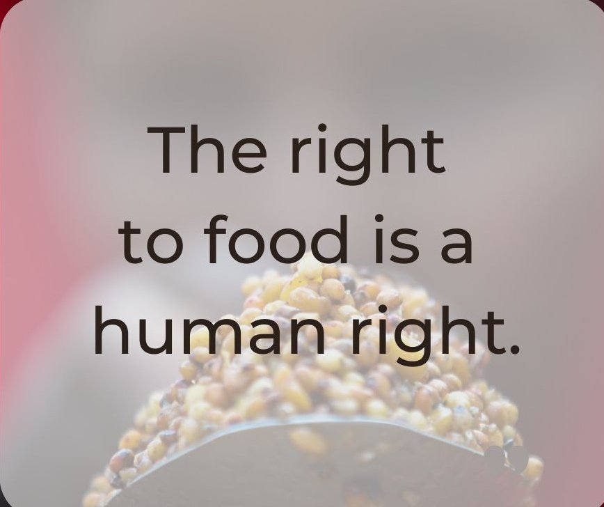 ByarugabaRemi's tweet photo. There is more than enough food produced today to feed every last one of us.
Yet up to 828 million people remain chronically
undernourished, amid signs of diminishing momentum towards reaching #ZeroHunger
@FAOUganda @FAO
@ProducersDirect
#FoodRight @fsb_policy https://t.co/cbnZfKZoc7