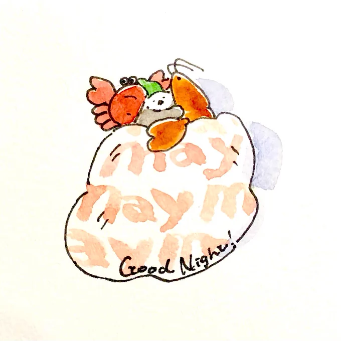 メイちゃんお誕生日おめでとうでしたずっと幸せに暮らせますようにいい夢みてね #ラッコのメイちゃん