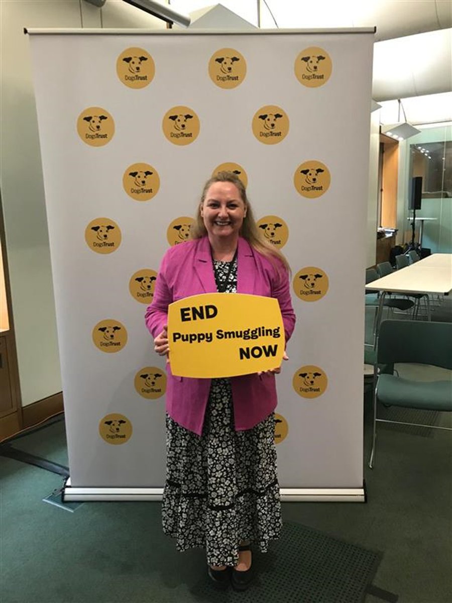 Did you know that more than 2,256 illegally imported puppies have now been cared for by Dogs Trust, which would have made over £3 million for the illegal importers? ☹️

Thank you @DrLisaCameronMP for your ongoing commitment to end #PuppySmuggling 💛🐶