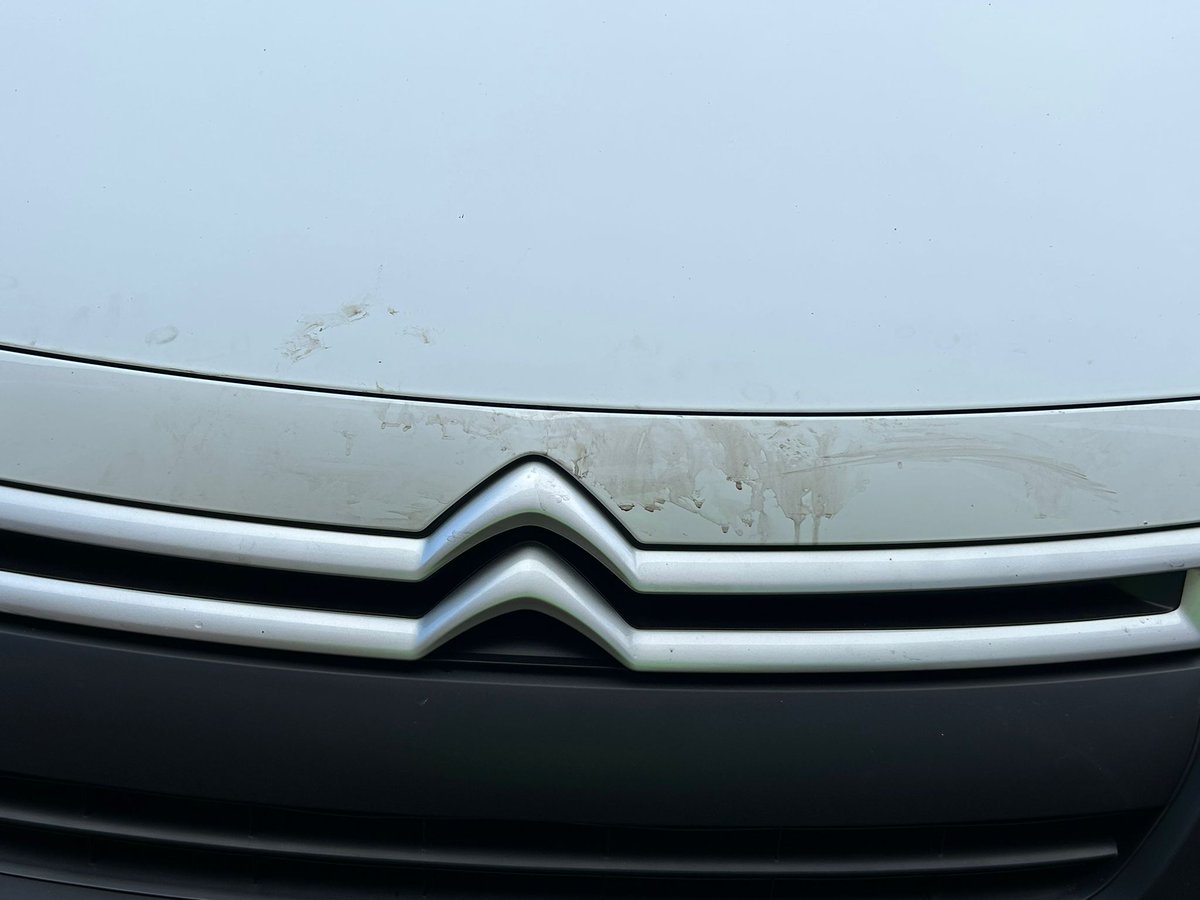 Findblocks.Net tweet media