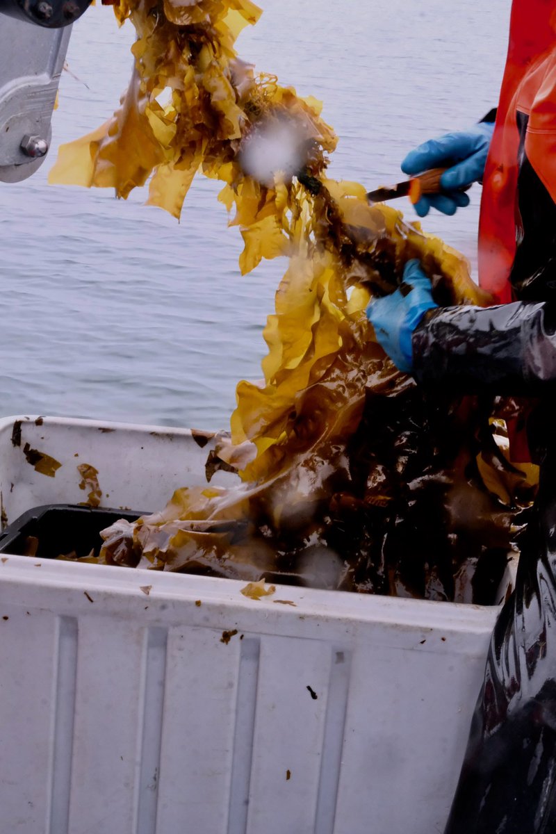 barnaclefoods tweet media