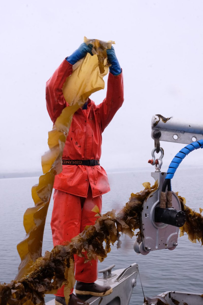 barnaclefoods tweet media