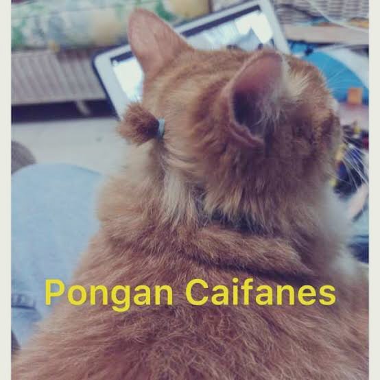 Ornelatm's tweet image. #PoderosoArrasando ❤️