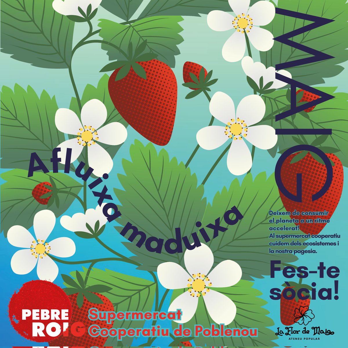 PebreRoigCoop's tweet photo. És MAIG!🌼 I aquest mes estem gaudint de les maduixes!😋

Afluixa MADUIXA!🍓 Deixem de correr, consumir depresa i destruir el planeta a un ritme accelerat!🏎️🔥
Al @PebreRoigCoop cuidem dels ecosistemes i la pagesia👩‍🌾, i construim comunitat i suport mútu entre les veïnes🌱.

Volem obrir un supermercat cooperatiu al #Poblenou!💪 Fes-te sòcia del Pebre Roig i transformem juntes el consum alimentari al nostre barri! Puja't al carro!🛒
https://t.co/av9kgODH0B