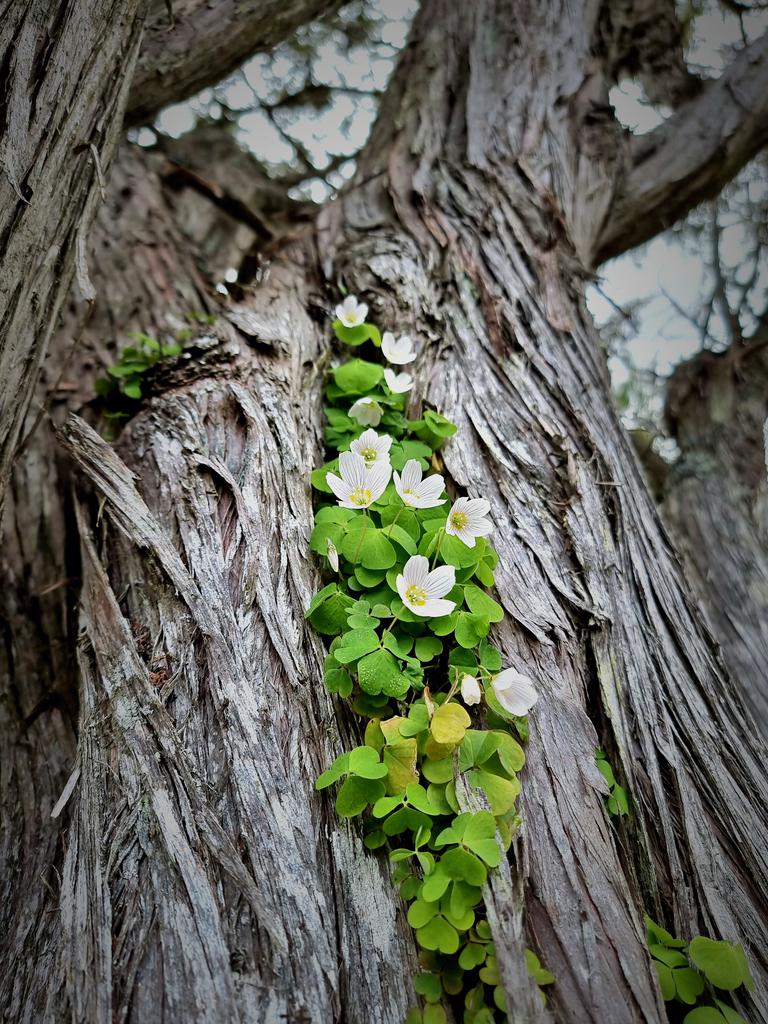 Marta Dobrowolski tweet media