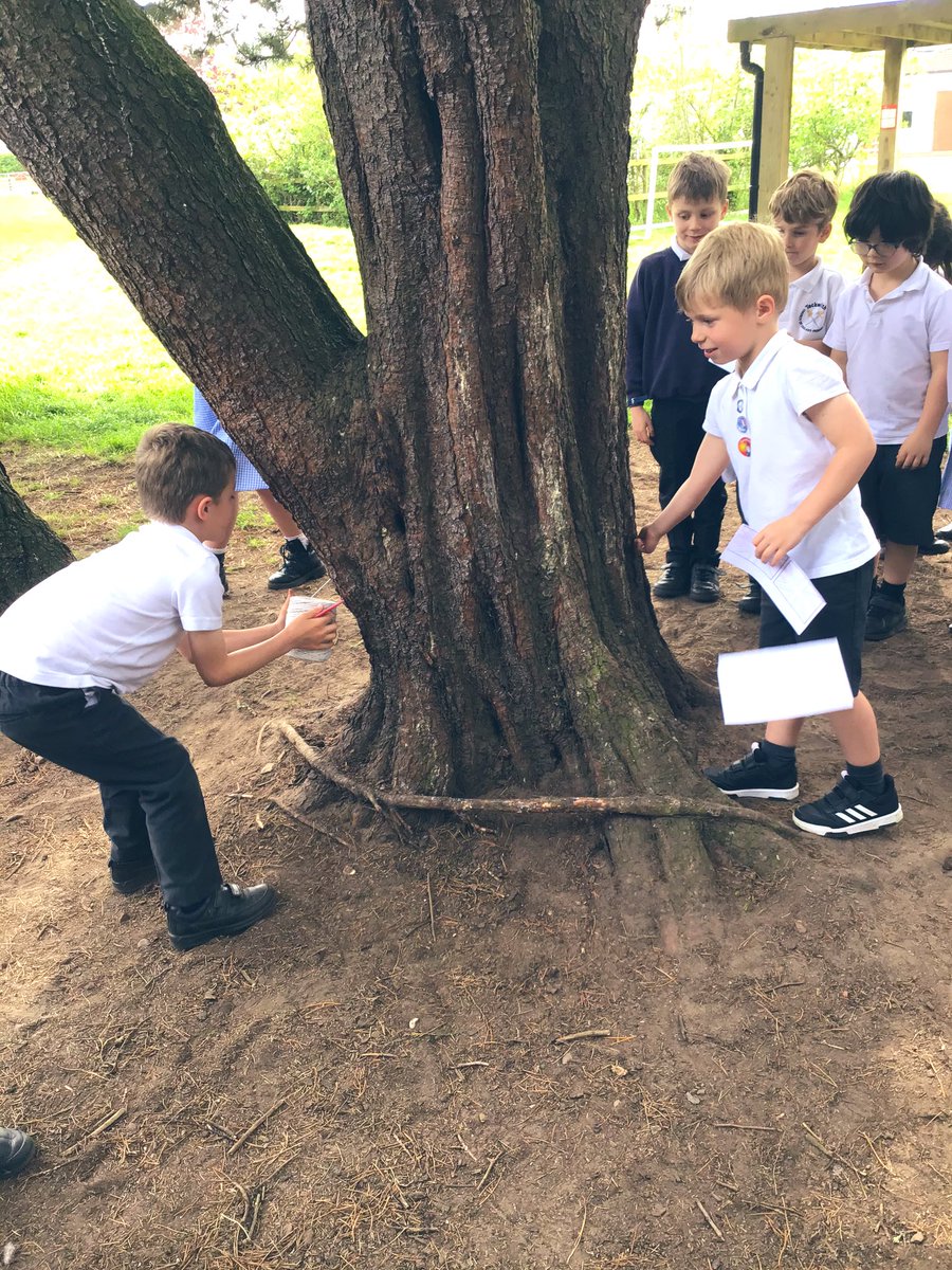 M1ssCunningh4m's tweet photo. A fantastically busy afternoon in year one! Creating some flower art, labelling the parts correctly, learning how to measure trees ages with string and exploring our school forest! 🌳🌸🌿 #TockY1 #TockScience @Tockwithcofe https://t.co/jkSkeSZp6g