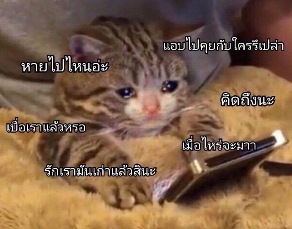 sad boy . tweet media
